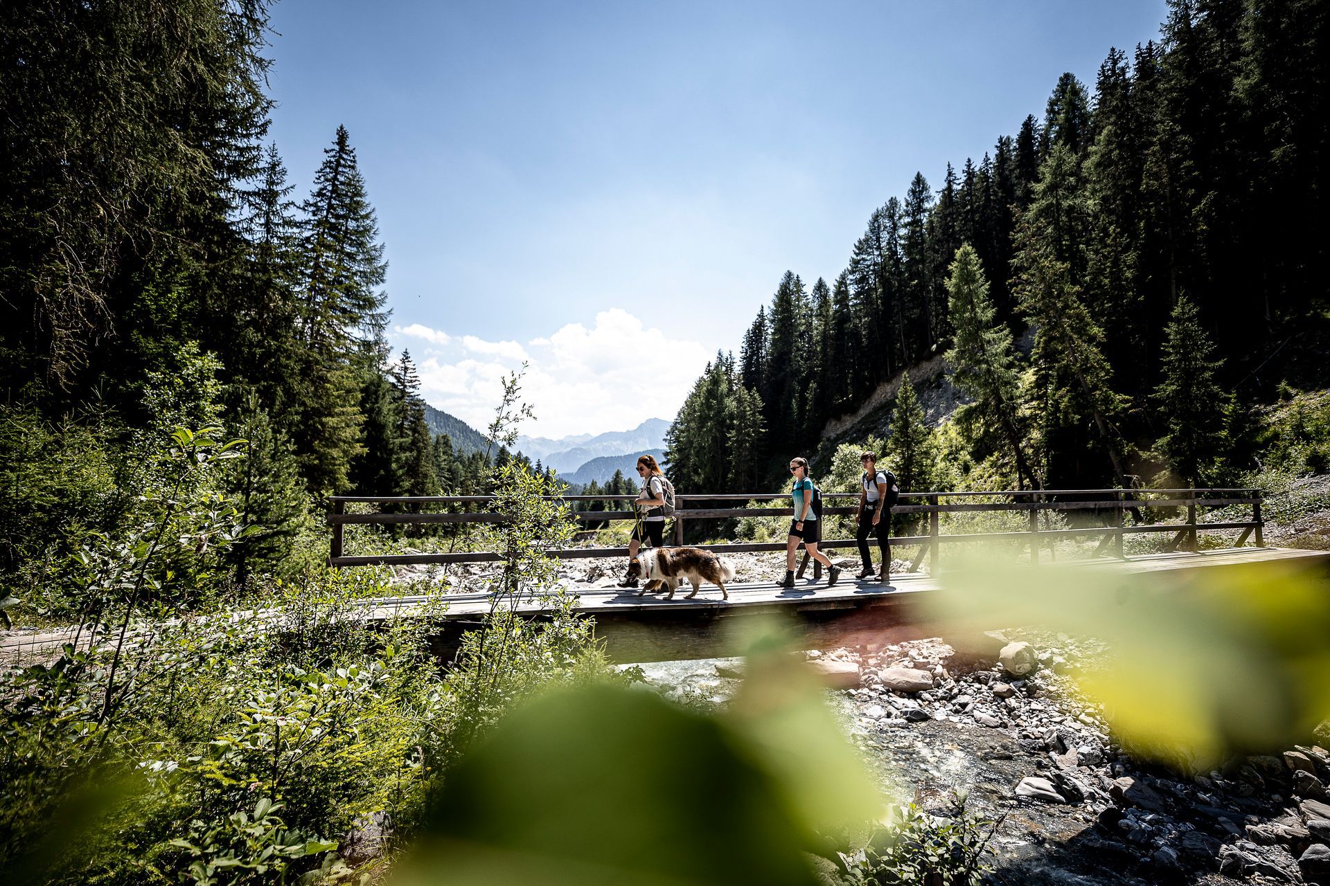 Eine Gruppe von Menschen steht auf einer Brücke über einem Fluss im Wald.
