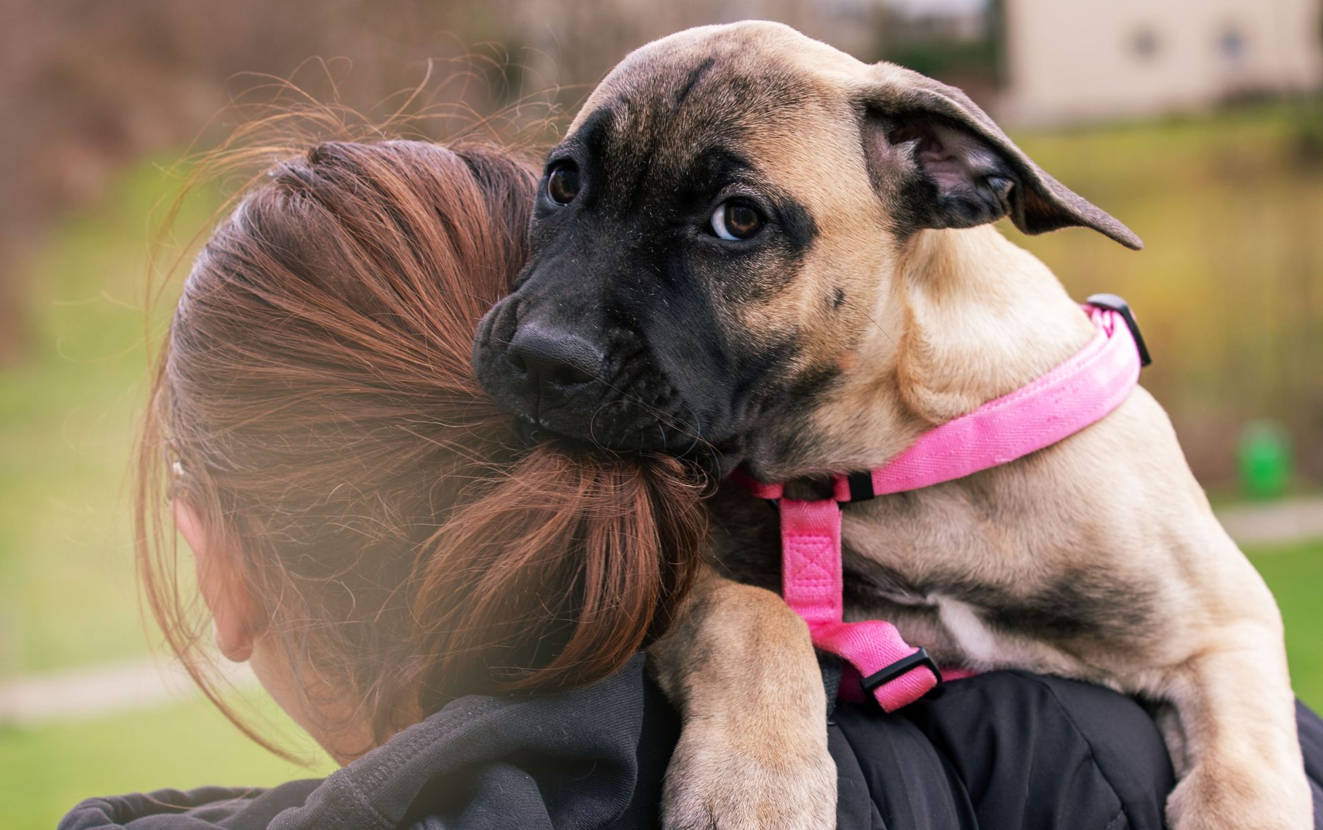 Weisser Umschlag auf grünem Untergrund