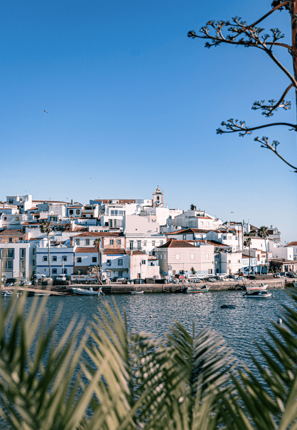 a small town with boats in the water and palm trees in the foreground