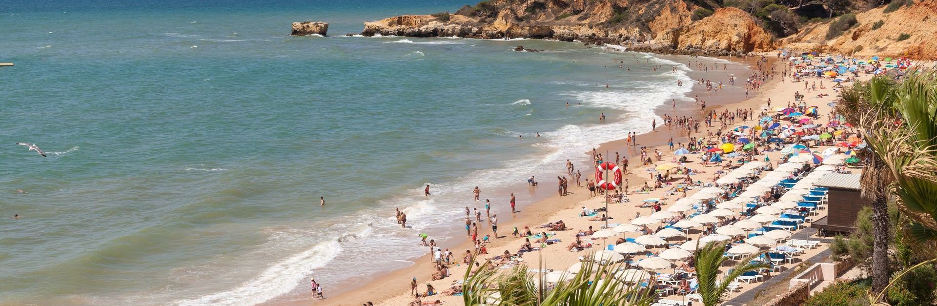 A beach filled with people and umbrellas on a sunny day.