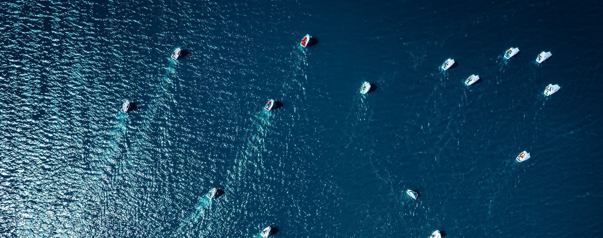 A group of people are swimming in the ocean.