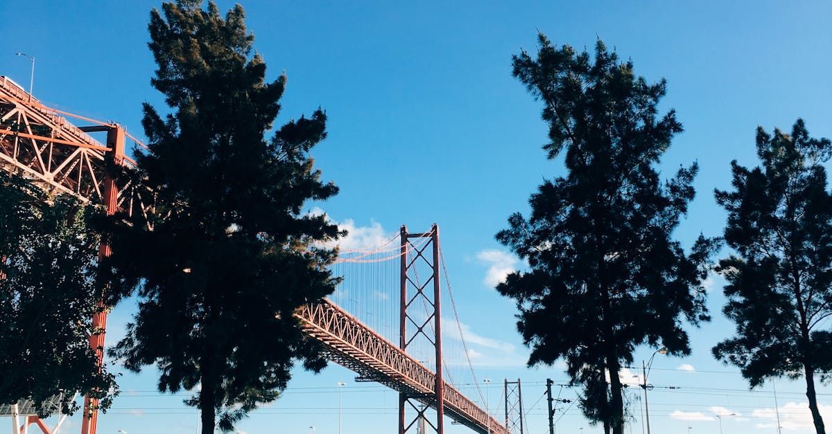 A bridge with trees in the foreground and a blue sky in the background.