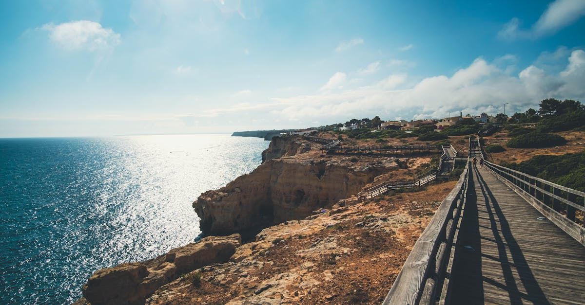 A wooden walkway leading to a cliff overlooking the ocean.