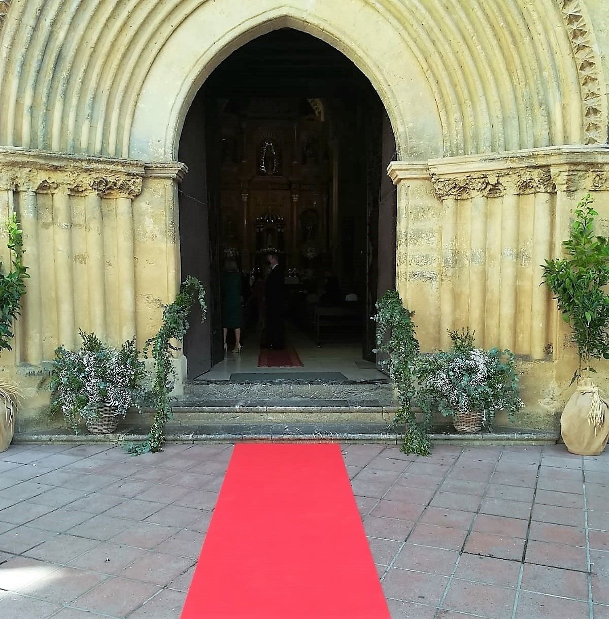 Una alfombra roja que conduce a la entrada de un edificio.