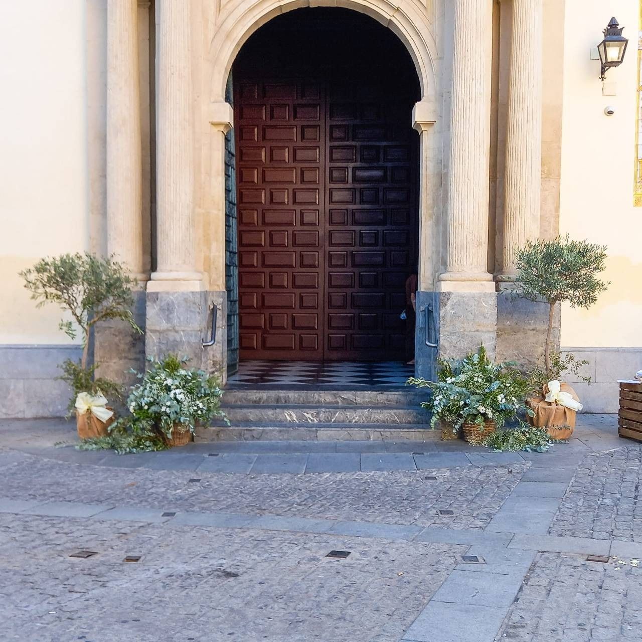 La puerta de entrada de un edificio con plantas delante.