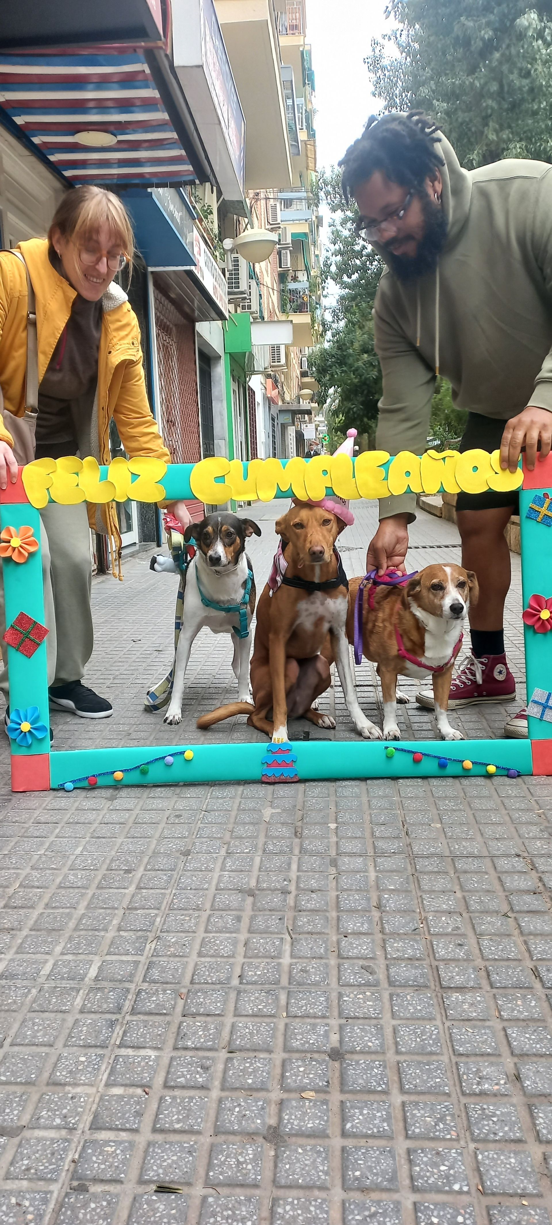 Un hombre y una mujer están de pie junto a una valla con perros dentro.