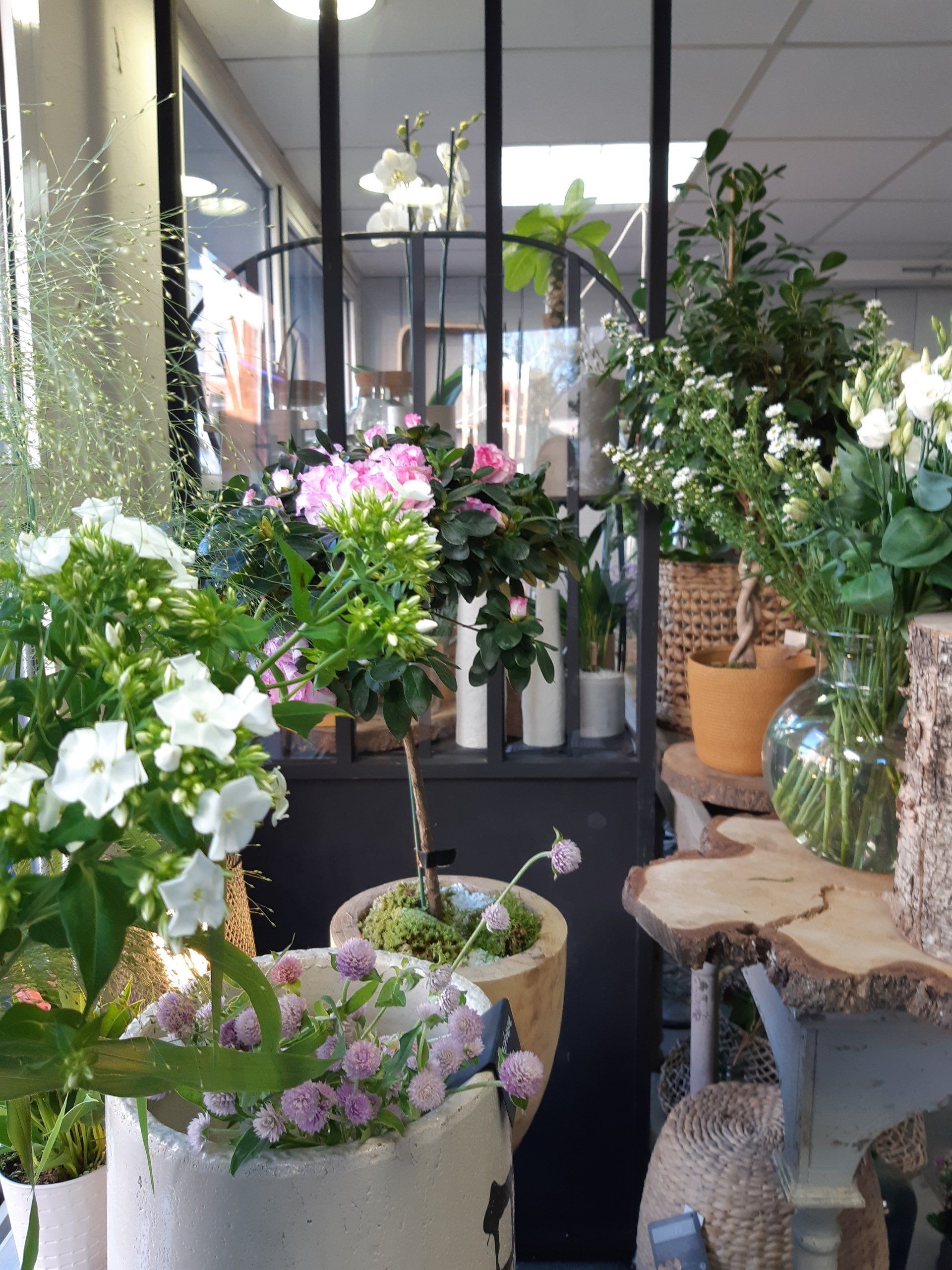 Fleur intérieur de saison