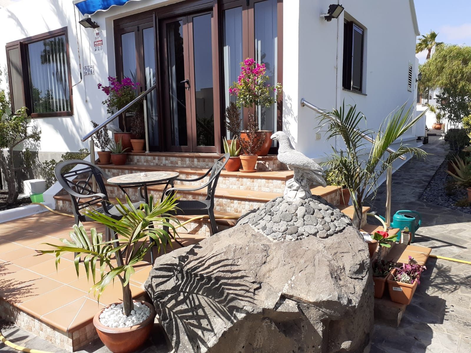 Jardines personalizados de TAHICHE GARDEN LANZAROTE