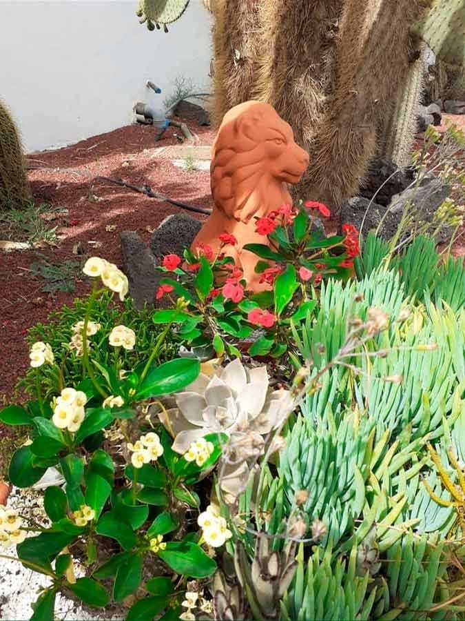 Servicios de TAHICHE GARDEN LANZAROTE