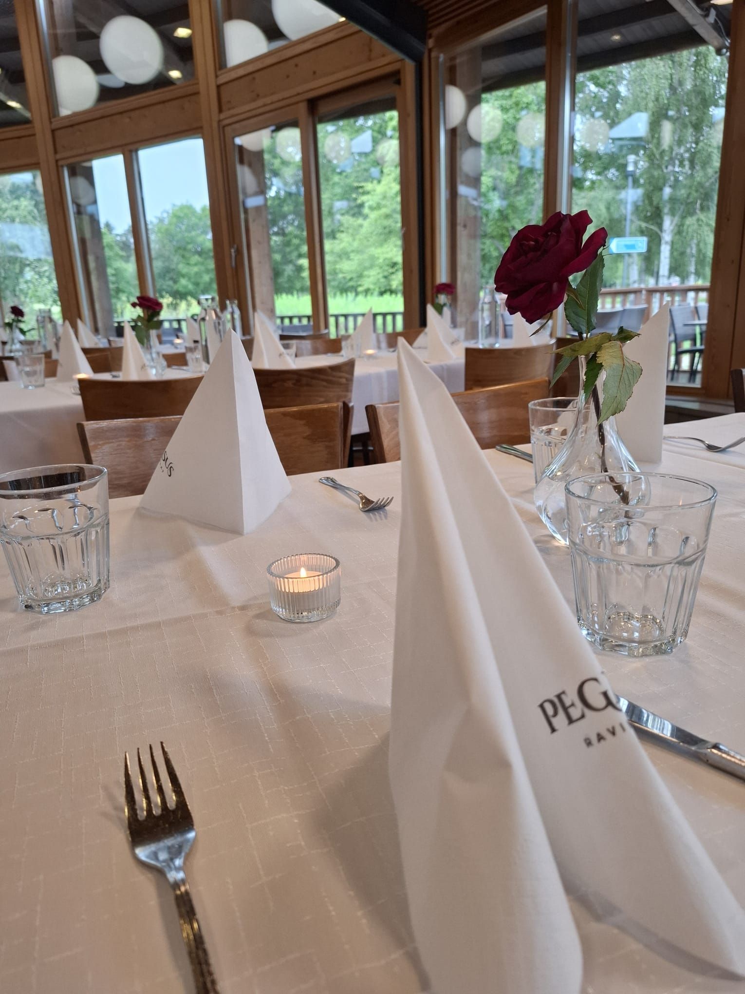 Pegasus-ravintolat Oy