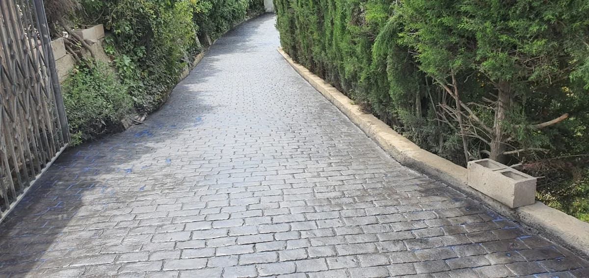 Camino de ladrillo flanqueado por arbustos verdes y un muro de piedra.