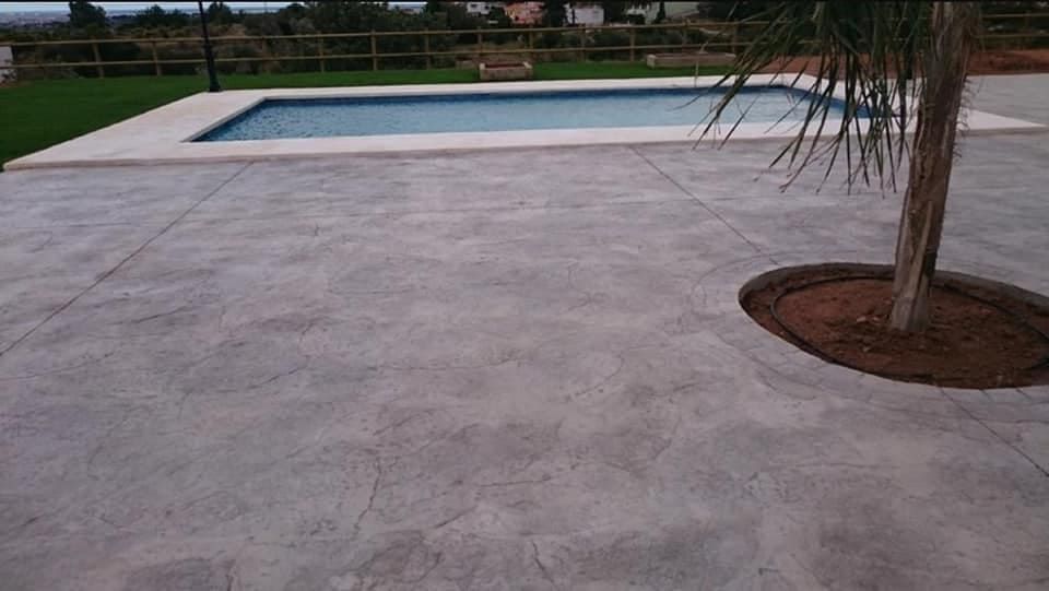 Patio de concreto con piscina rectangular, palmera y paisajismo al fondo.