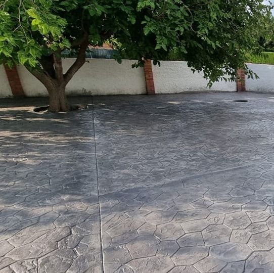 Árbol que proyecta sombra sobre un patio de hormigón gris texturizado, adyacente a una pared blanca con pilares de ladrillo.