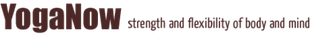 Yoga Now logo