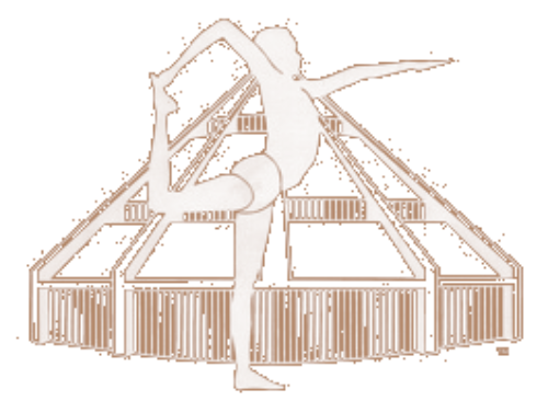 Yoga Now logo