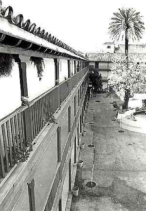 Reforma_1981_1984