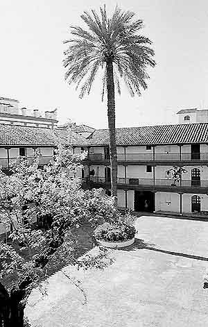 Reforma_1981_1984