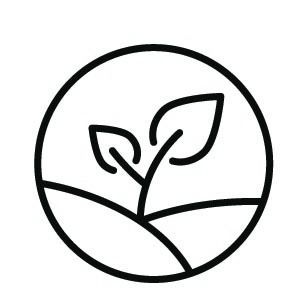 Una planta está creciendo fuera del suelo en un círculo.