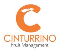 Logotipo de Cinturrino Fruit Management que presenta una letra "C" naranja coronada con dos hojas sobre el nombre de la empresa.