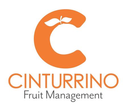 Logotipo de Cinturrino Fruit Management que presenta una letra "C" naranja coronada con dos hojas sobre el nombre de la empresa.