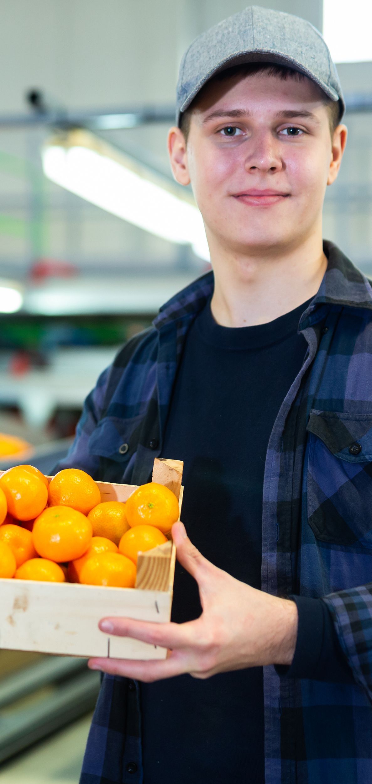 Hay muchos tipos diferentes de frutas y verduras en la mesa.