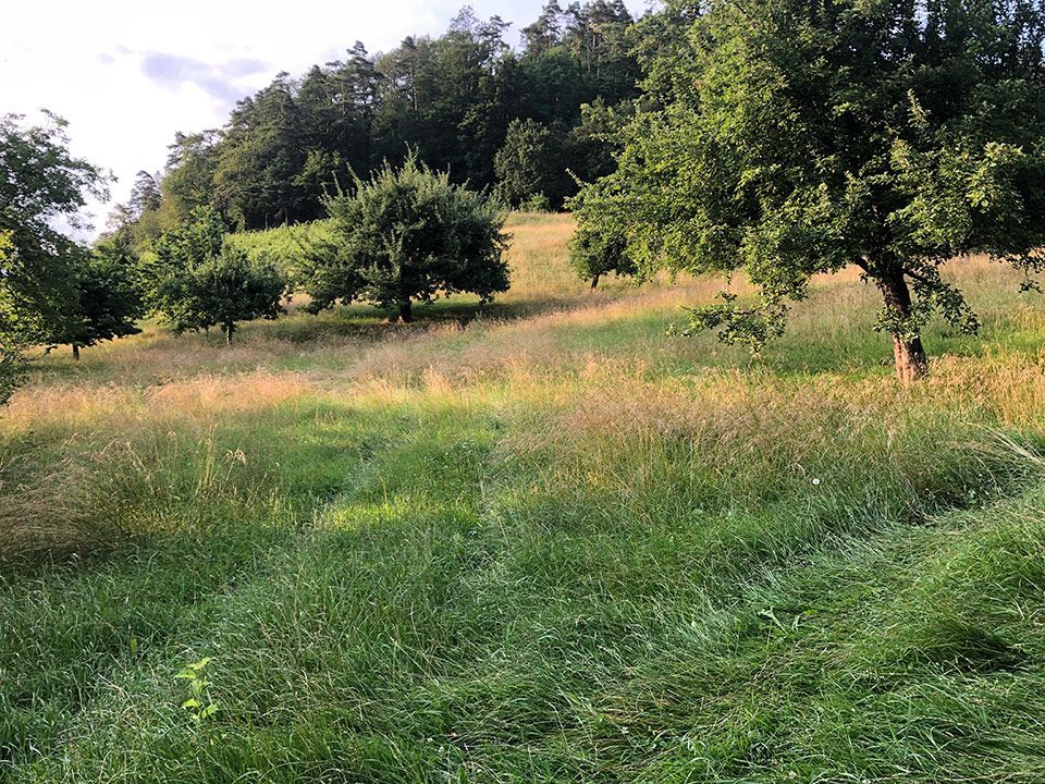 Studio Candelieri GmbH