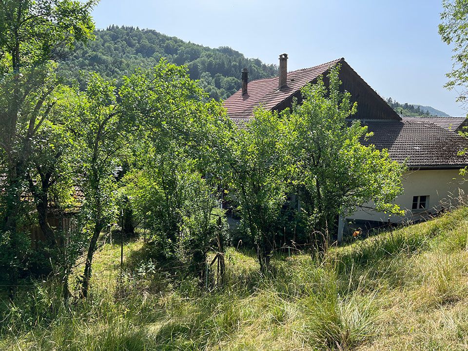 Studio Candelieri GmbH