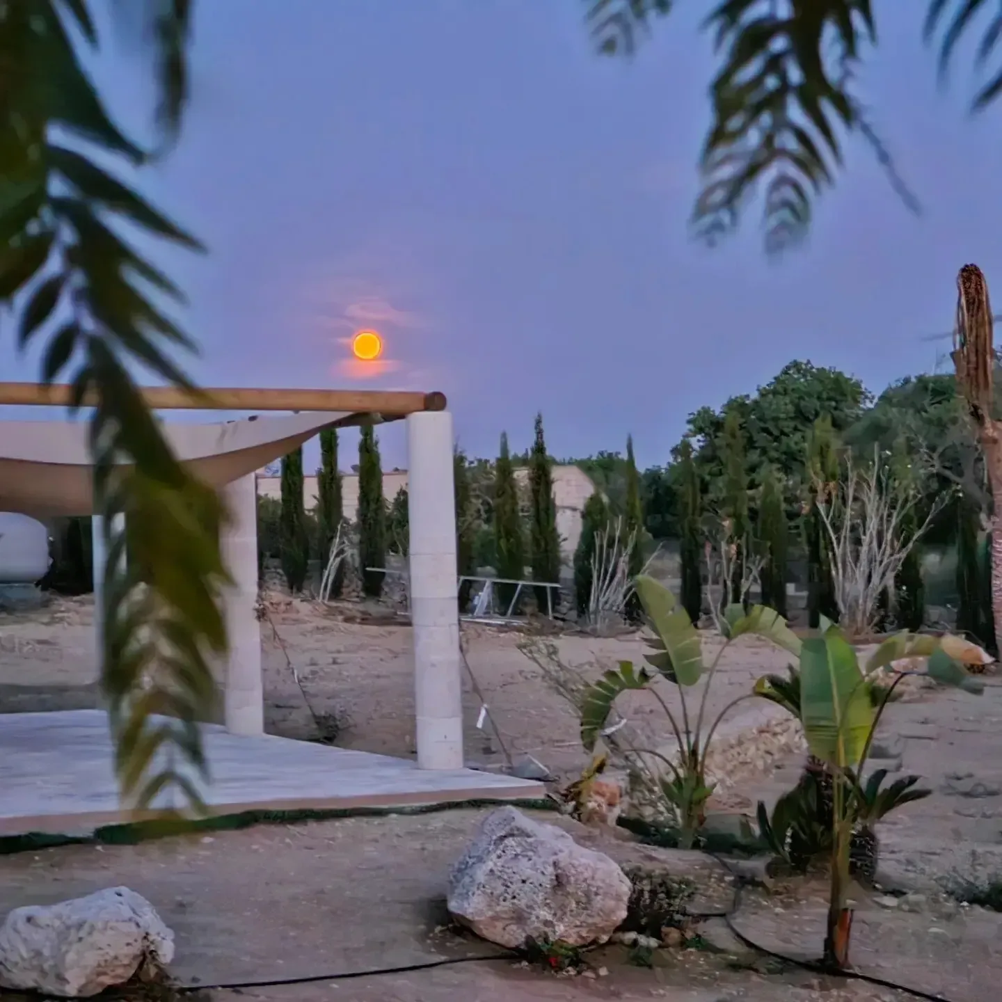 Patio exterior moderno con pérgola blanca, sendero de piedra, palmeras y una puesta de sol resplandeciente al fondo.