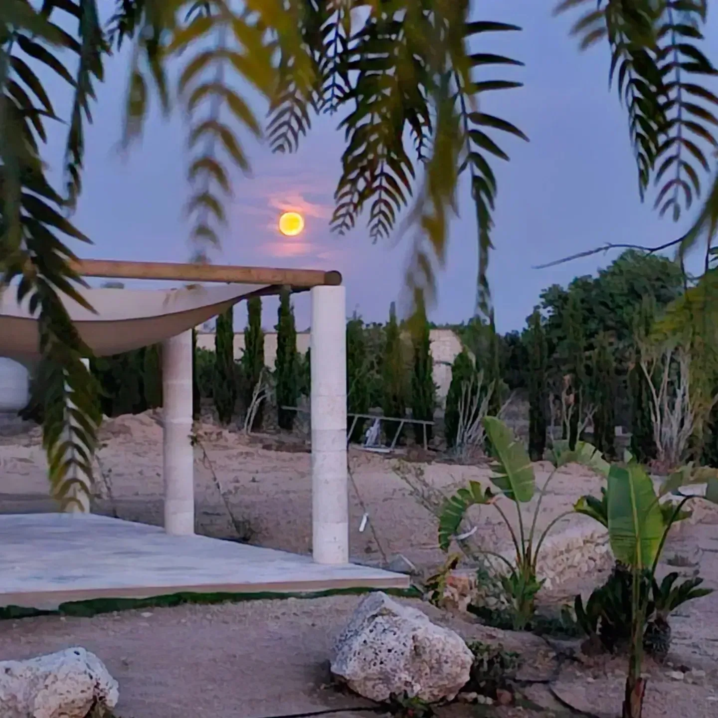 Patio ajardinado iluminado por la luna con pilares blancos, una vela de sombra, rocas y plantas tropicales al atardecer.