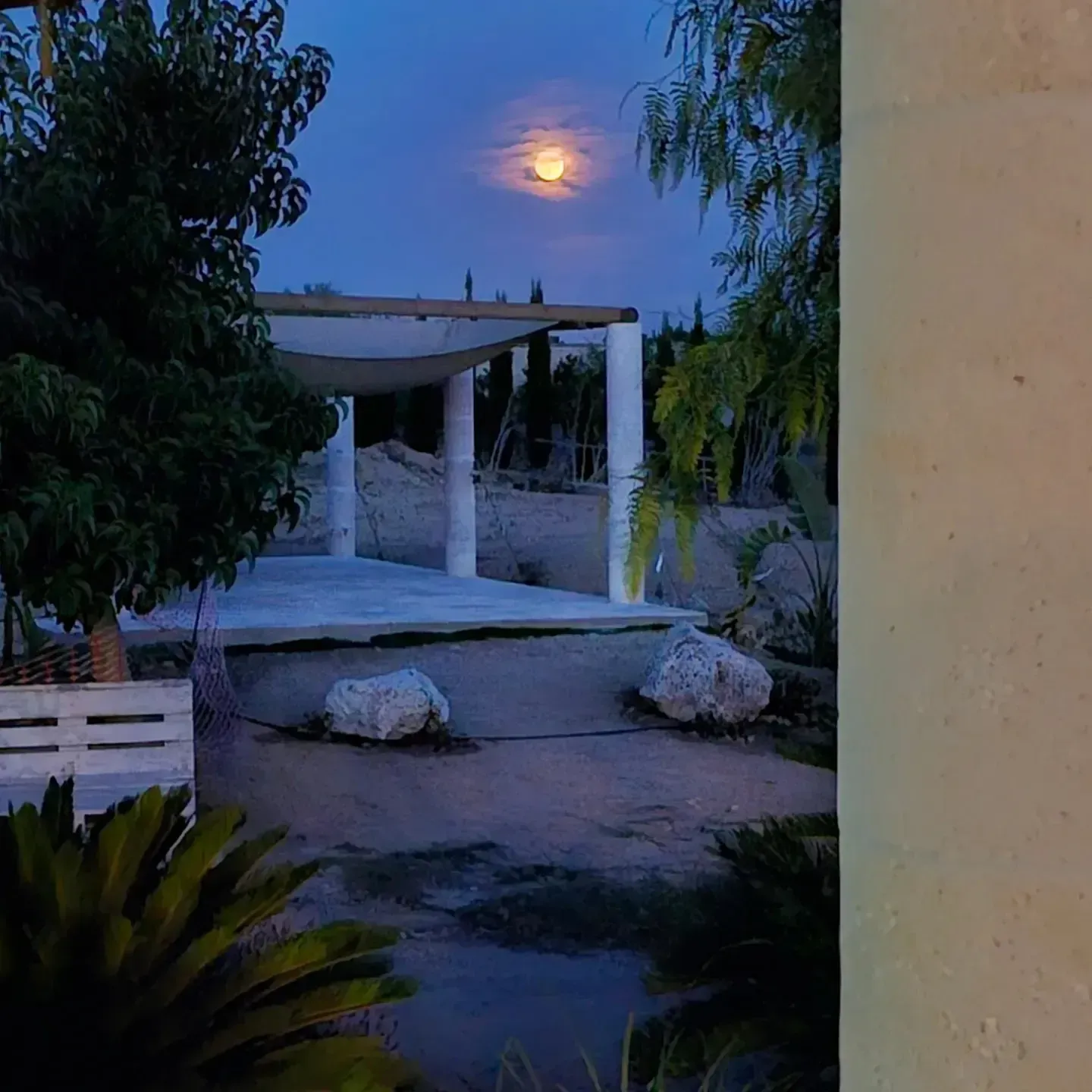 Sendero ajardinado iluminado por la luna con pérgola blanca, árboles, rocas y un banco bajo un cielo azul vespertino.