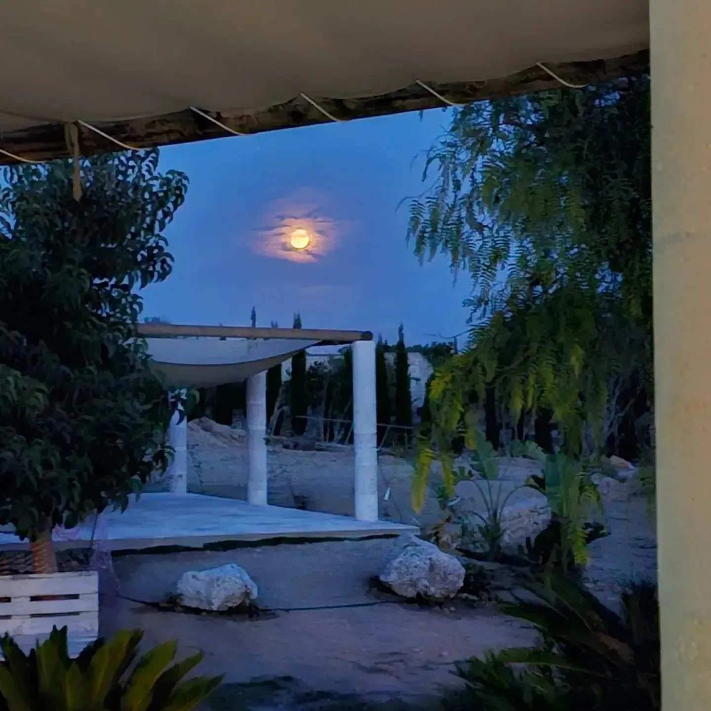Patio iluminado por la luna con pérgola blanca, plantas del desierto y una luna brillante en un cielo vespertino azul.