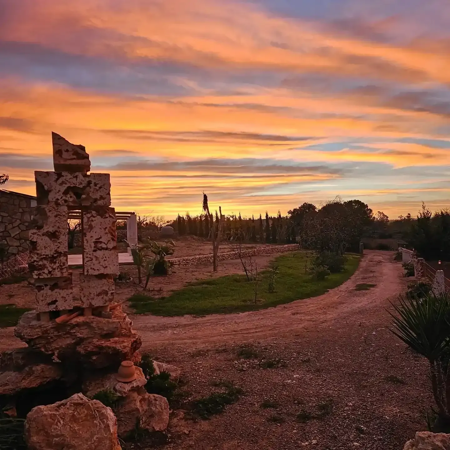 Puesta de sol sobre un sendero de piedra rústica en un jardín con cactus y plantas del desierto bajo nubes coloridas.