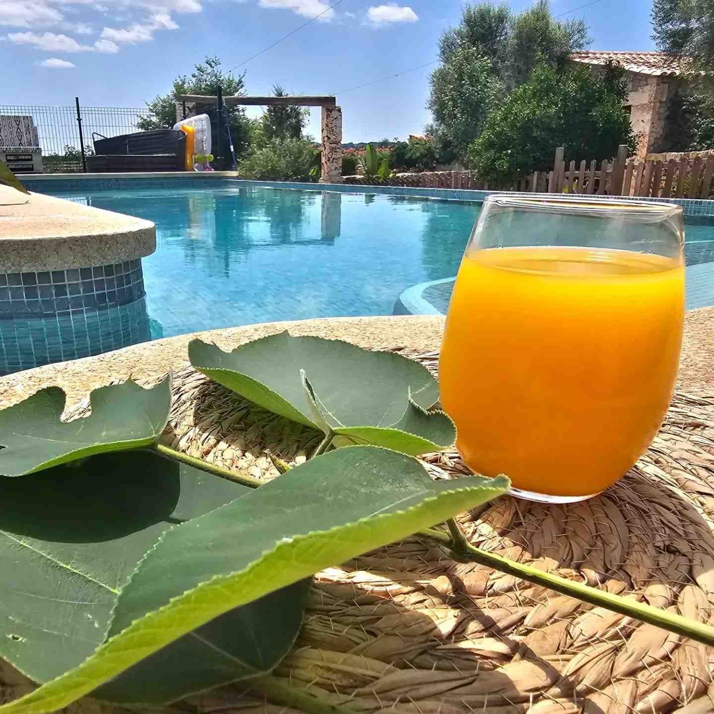 Zumo de naranja en un vaso junto a hojas verdes al lado de una piscina en un día soleado.