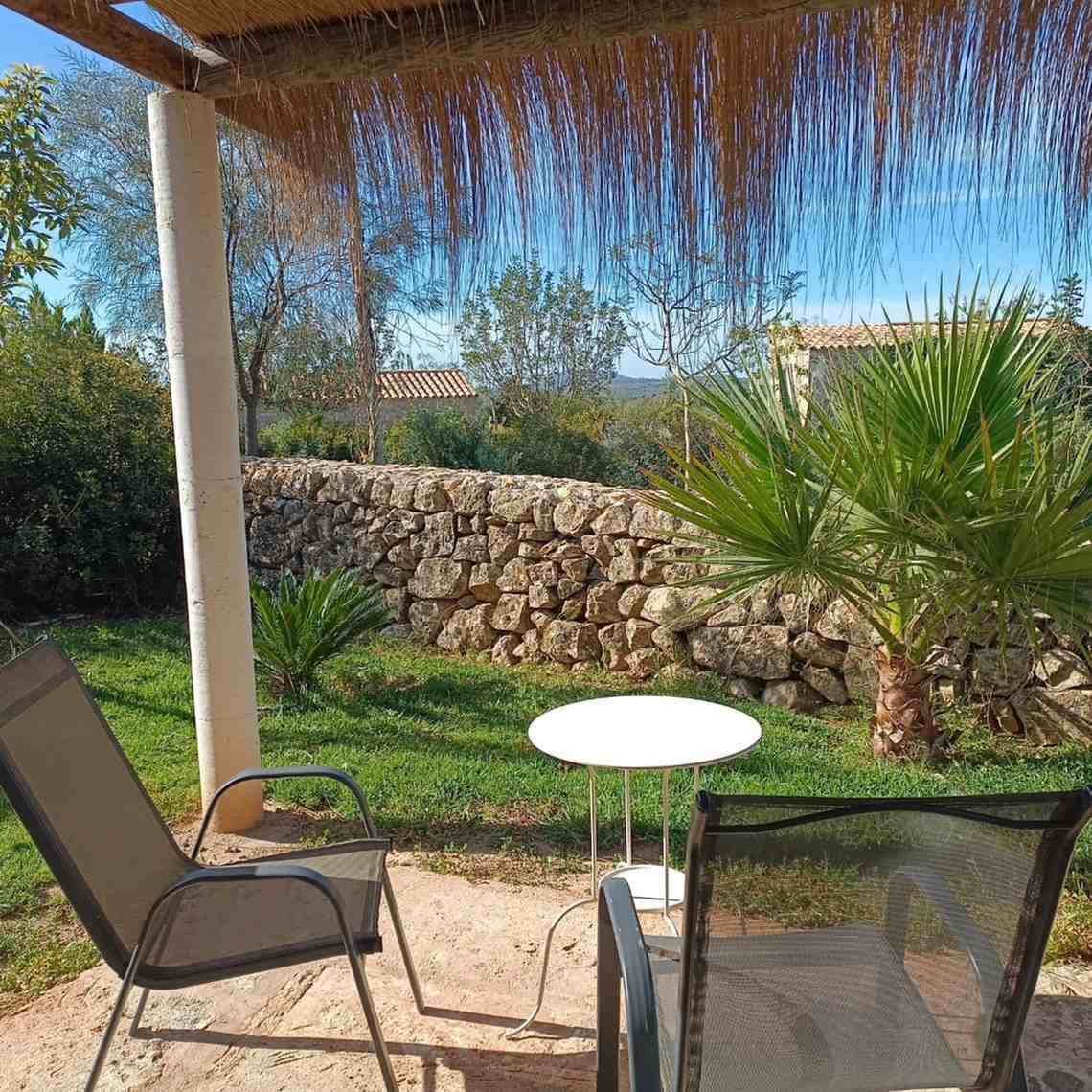 Terraza con vistas a un jardín soleado con muro de piedra, palmera y árboles más allá.