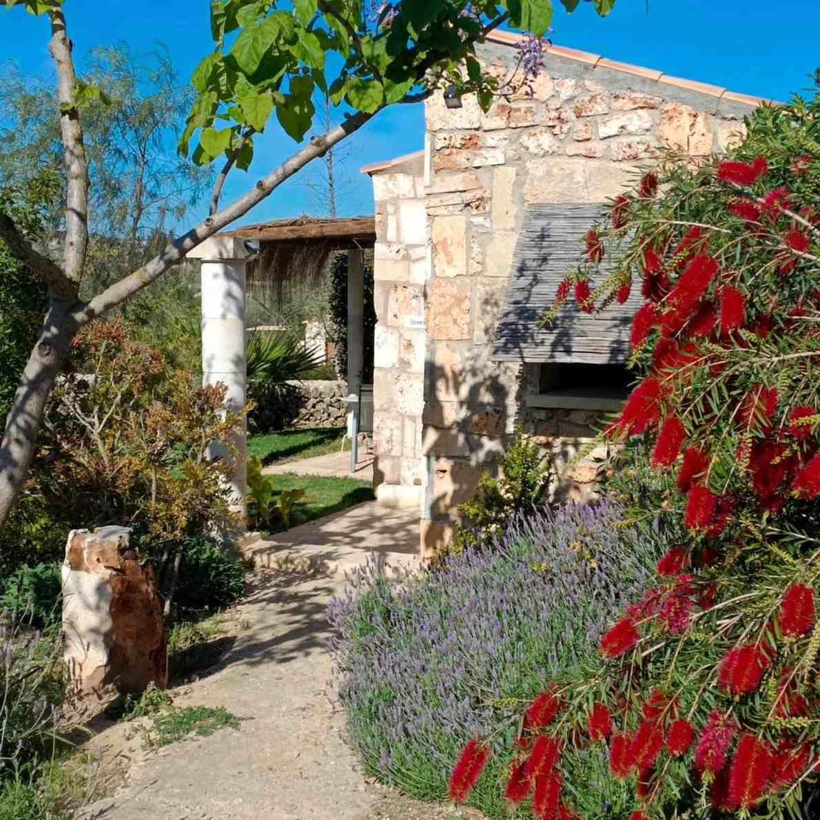 Jardín de piedra soleado con flores rojas, lavanda y un sendero de tierra bajo árboles verdes.