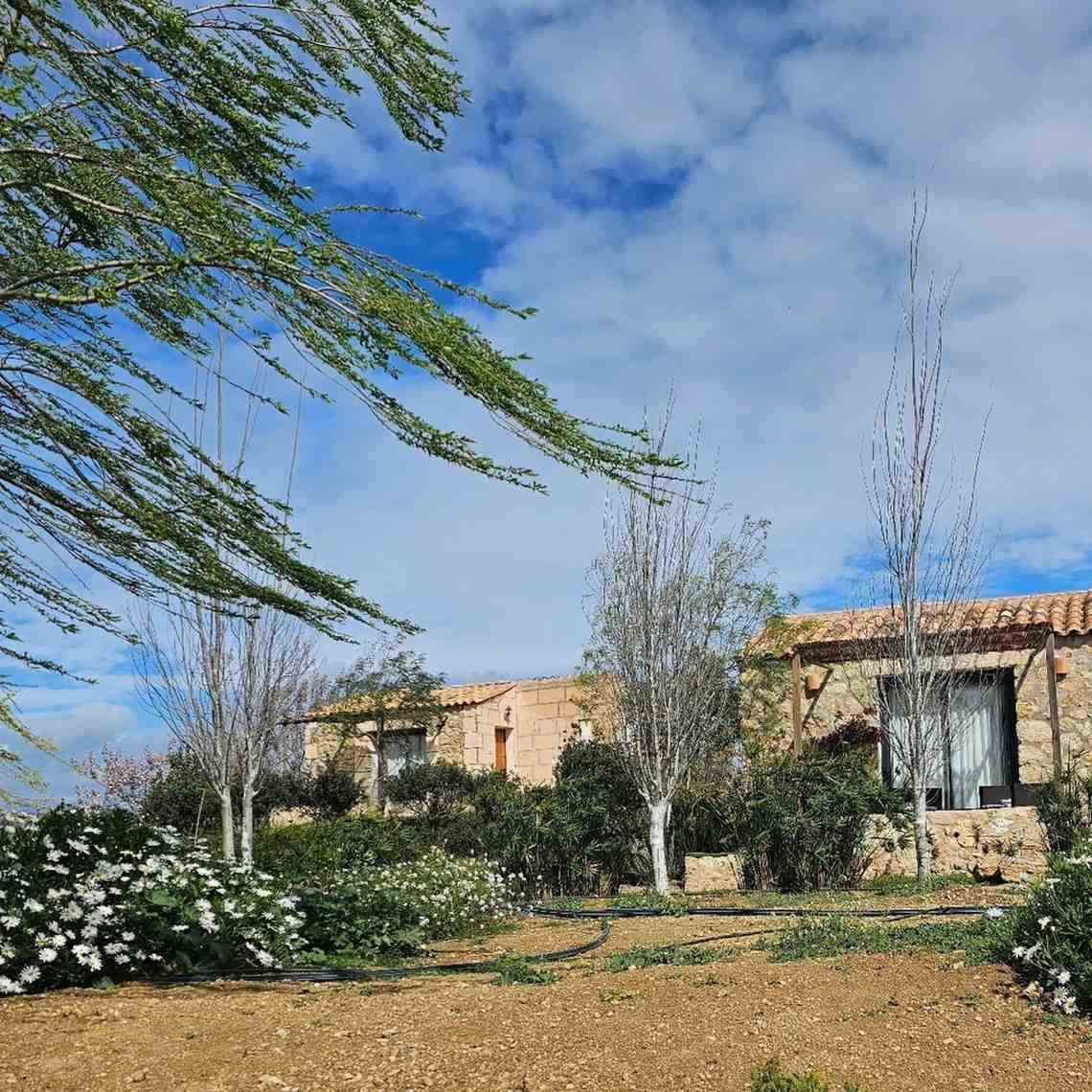 Jardín con flores blancas, árboles altos y una casa de piedra bajo un cielo azul.
