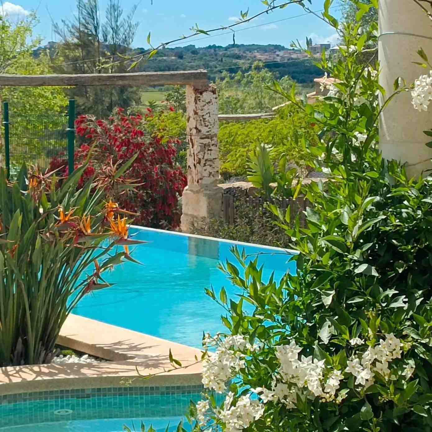 Vista aérea de una piscina en un patio trasero con tumbonas, sombrillas de paja y una pequeña zona de jacuzzi curva.