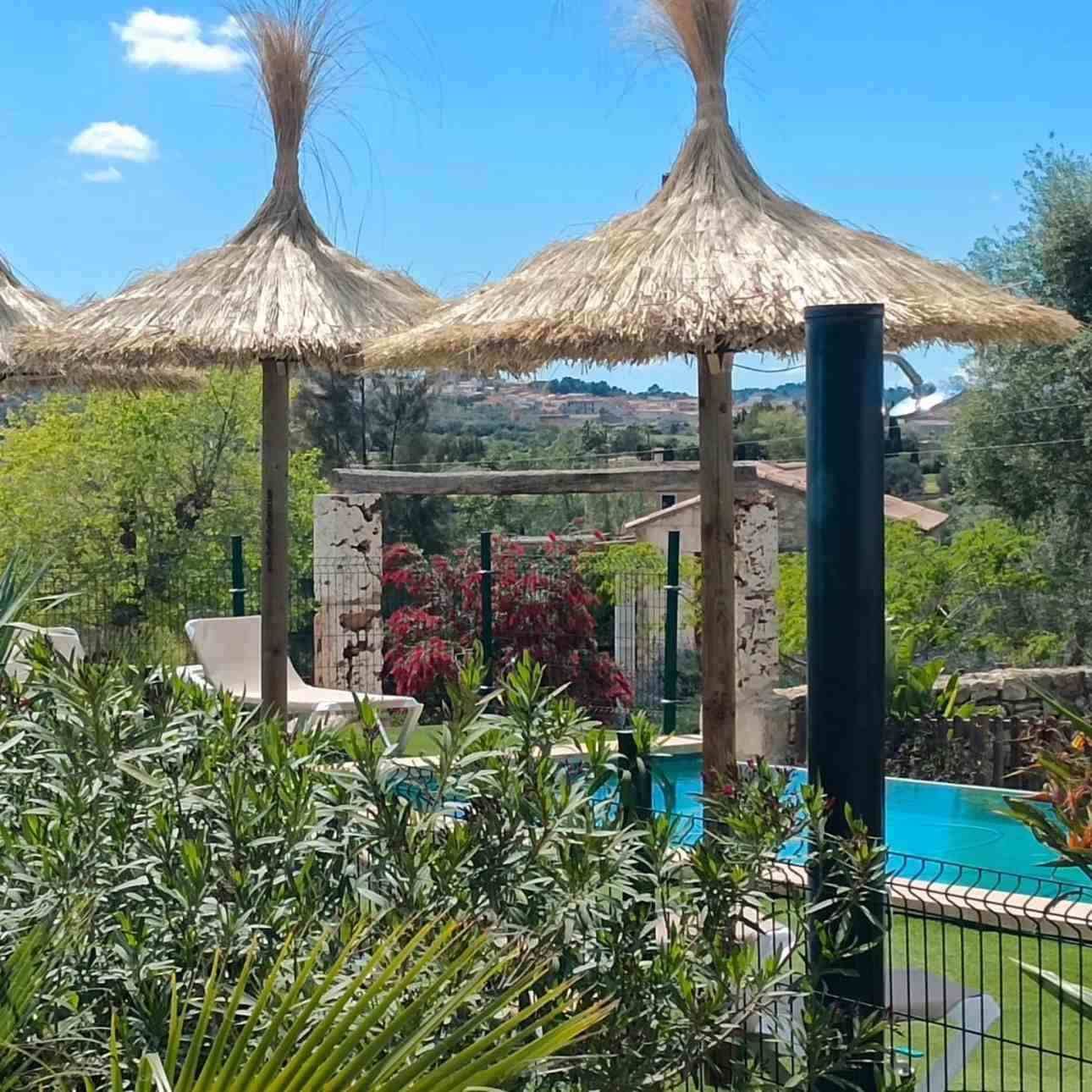 Jardín tropical junto a la piscina con sombrillas de paja, agua turquesa y exuberante vegetación bajo un cielo azul.