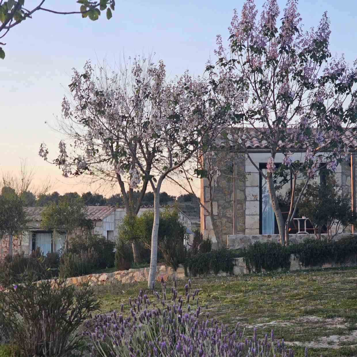 Árboles en flor y una casa de piedra en un jardín al atardecer.