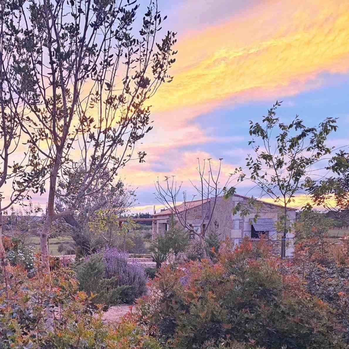 Un atardecer en tonos pastel sobre casas y árboles en un jardín suburbano.