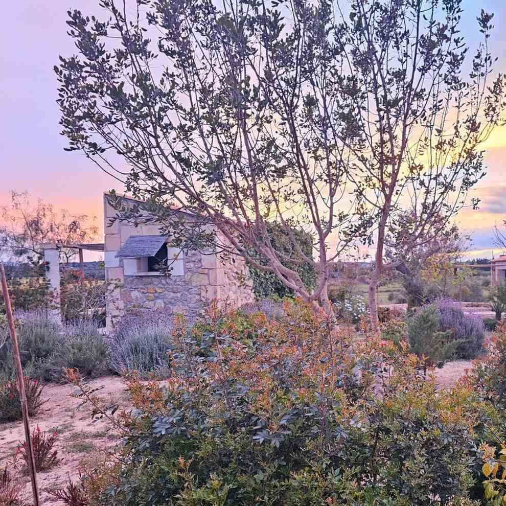 Jardín con un gran árbol, arbustos y un pequeño edificio de piedra al atardecer con cielo rosa y morado.