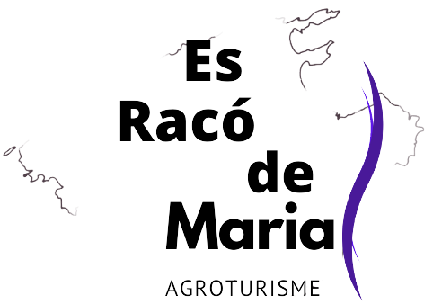 Logotipo con texto negro “Es Racó de Maria”, un swoosh morado y “AGROTURISME” debajo sobre un fondo blanco.