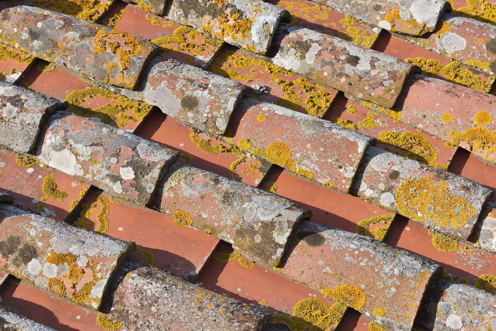 Close-up of a weathered red tiled roof with gray and yellow lichen patches