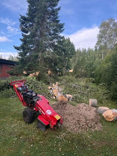 Kannonjyrsintä