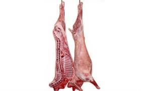 Marché Istanbul-boucherie halal- action d'agneau chinoise-Fribourg