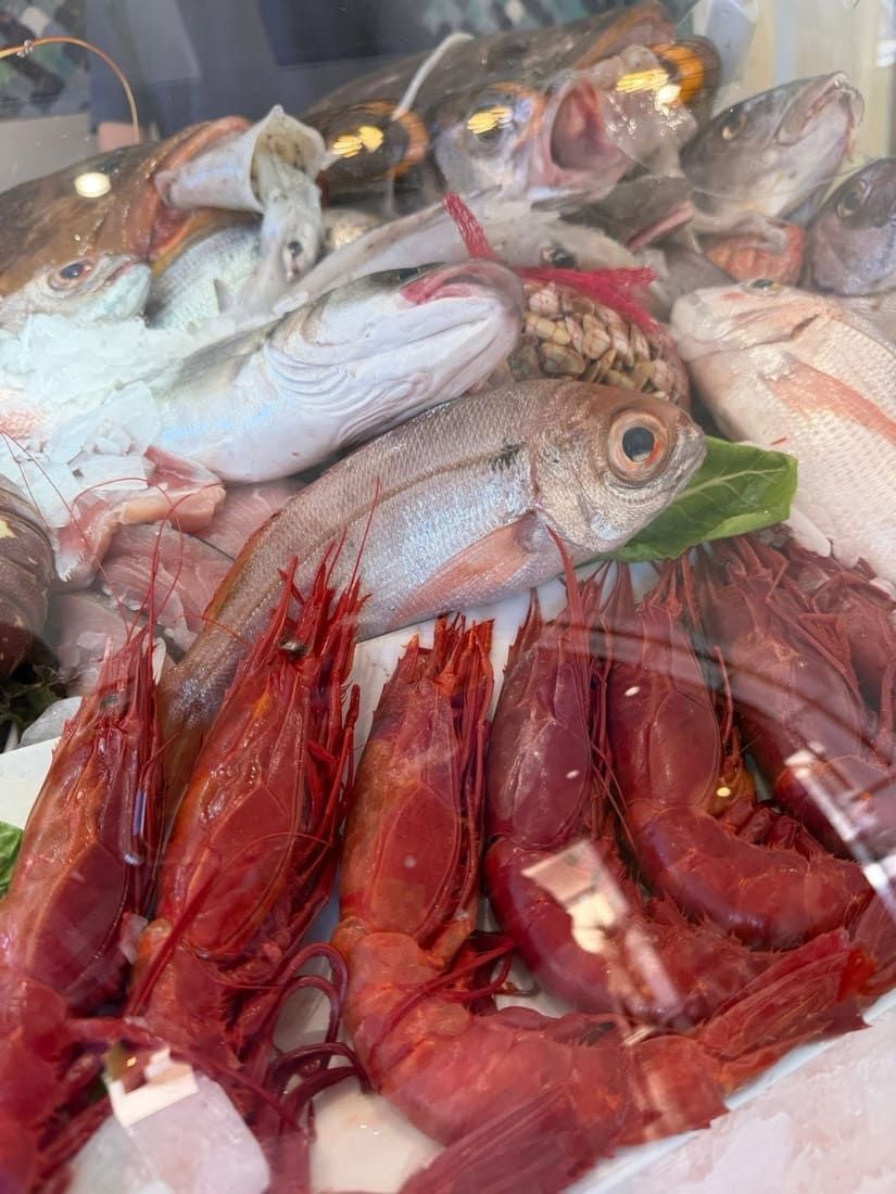 Variedad de pescado y marisco fresco sobre hielo en un mercado, incluyendo pargo rojo y un pargo plateado.