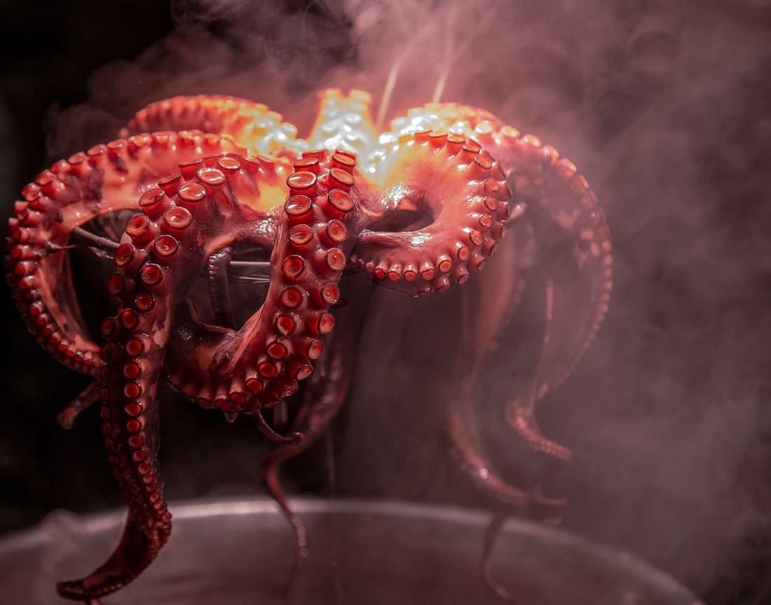 Pulpo rojo con tentáculos rizados en un entorno oscuro y ahumado.