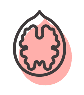 Icono rosa con forma de cerebro, con contorno oscuro y sombra rosa claro.