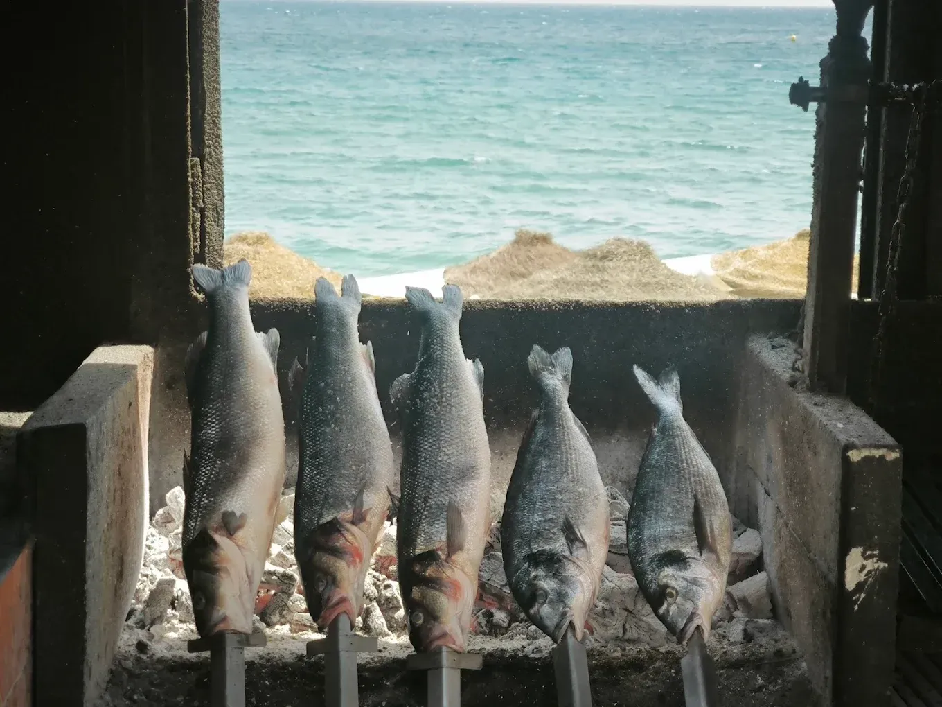Pescado a la parrilla en brochetas, cocinado sobre brasas a orillas del océano.