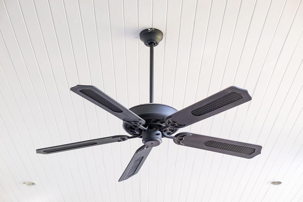 Ventilador de techo negro de cinco aspas montado sobre un techo con paneles blancos.